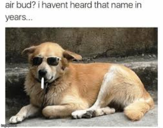 bruh | image tagged in bruh | made w/ Imgflip meme maker