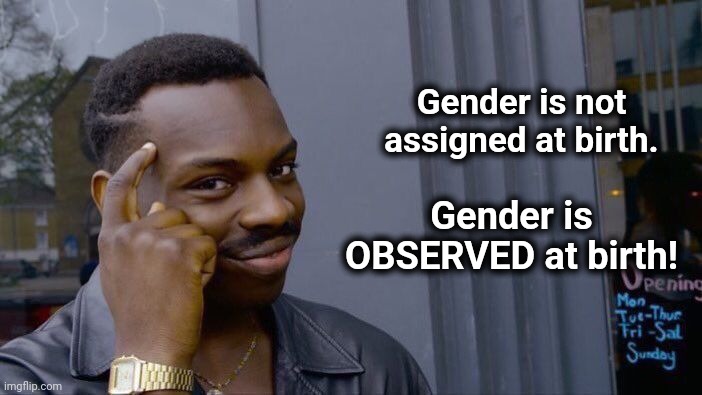 Roll Safe Think About It | Gender is not assigned at birth. Gender is OBSERVED at birth! | image tagged in memes,roll safe think about it,gender,birth,assigned,observed | made w/ Imgflip meme maker