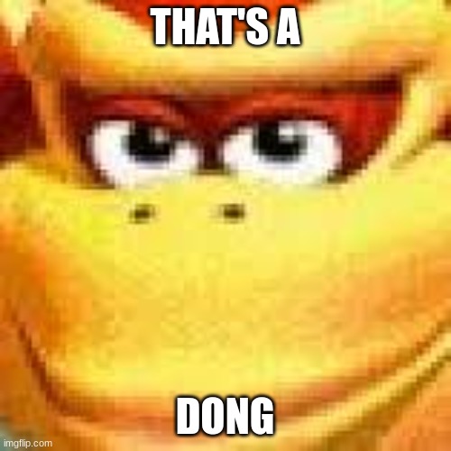 Expand Dong | THAT'S A DONG | image tagged in expand dong | made w/ Imgflip meme maker