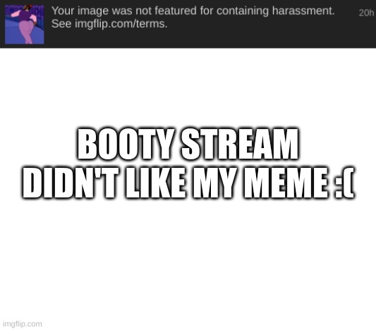 zad | BOOTY STREAM DIDN'T LIKE MY MEME :( | image tagged in blank white template | made w/ Imgflip meme maker