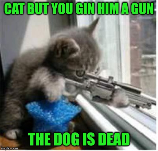 cat | CAT BUT YOU GIN HIM A GUN; THE DOG IS DEAD | image tagged in cats with guns | made w/ Imgflip meme maker