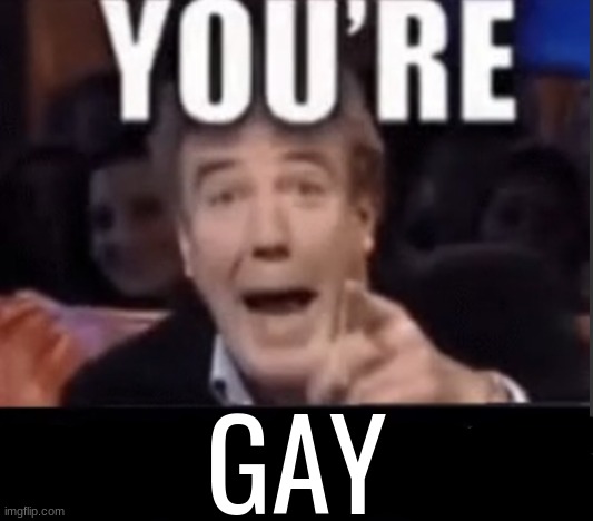You're X (Blank) | GAY | image tagged in you're x blank | made w/ Imgflip meme maker