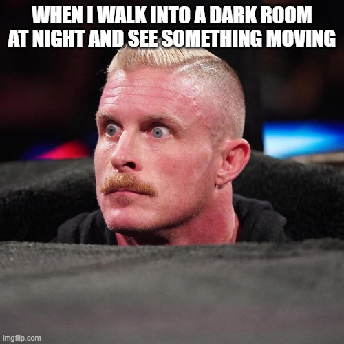 WHEN I WALK INTO A DARK ROOM AT NIGHT AND SEE SOMETHING MOVING | made w/ Imgflip meme maker