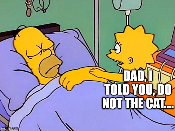 Dark humour? | DAD, I TOLD YOU, DO NOT THE CAT.... | image tagged in coma homa,homer simpson | made w/ Imgflip meme maker