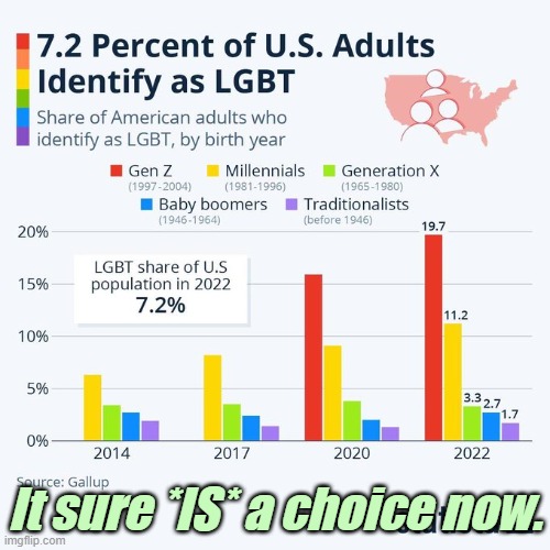 They used to say, "Being gay is NOT a choice." | It sure *IS* a choice now. | image tagged in liberals,democrats,lgbtq,blm,antifa,transgender | made w/ Imgflip meme maker