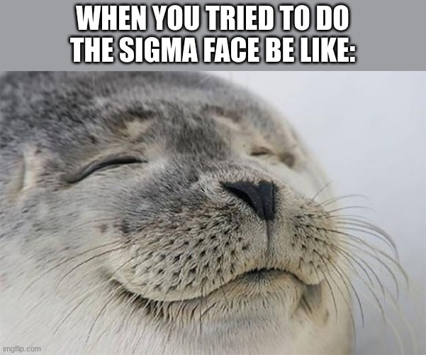 Giga | WHEN YOU TRIED TO DO THE SIGMA FACE BE LIKE: | image tagged in memes,relatable memes,sigma,funny memes | made w/ Imgflip meme maker