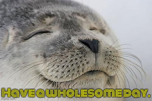 A pleasant mood. | Have a wholesome day. | image tagged in memes,satisfied seal,relax,it is wednesday my dudes | made w/ Imgflip meme maker