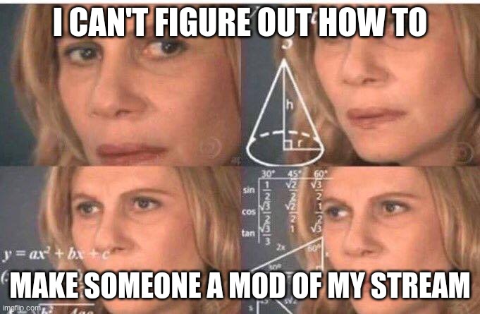PLEASE HELP | I CAN'T FIGURE OUT HOW TO; MAKE SOMEONE A MOD OF MY STREAM | image tagged in math lady/confused lady | made w/ Imgflip meme maker