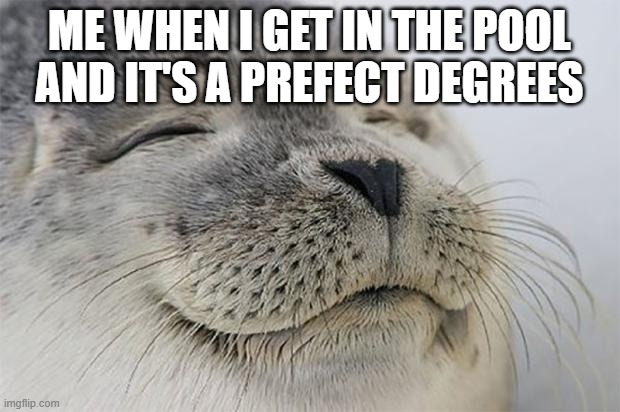 Satisfied Seal | ME WHEN I GET IN THE POOL AND IT'S A PREFECT DEGREES | image tagged in memes,satisfied seal | made w/ Imgflip meme maker