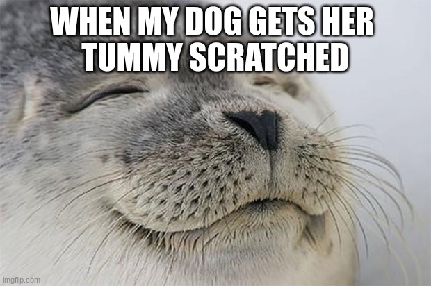 Satisfied Seal Meme | WHEN MY DOG GETS HER 
TUMMY SCRATCHED | image tagged in memes,satisfied seal | made w/ Imgflip meme maker