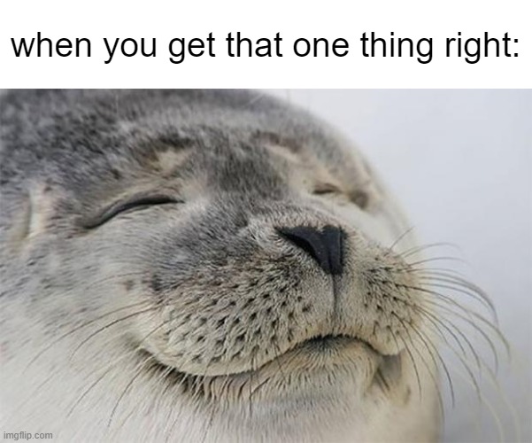 Satisfied Seal | when you get that one thing right: | image tagged in memes,satisfied seal | made w/ Imgflip meme maker