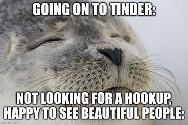 this made me laugh | GOING ON TO TINDER:; NOT LOOKING FOR A HOOKUP, HAPPY TO SEE BEAUTIFUL PEOPLE: | image tagged in memes,satisfied seal | made w/ Imgflip meme maker