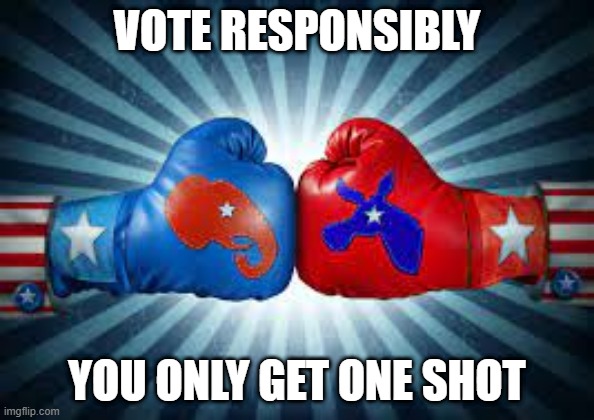 Vote Responsibly | VOTE RESPONSIBLY; YOU ONLY GET ONE SHOT | image tagged in vote responsibly | made w/ Imgflip meme maker