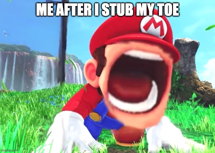stub my toe | ME AFTER I STUB MY TOE | image tagged in mario screaming | made w/ Imgflip meme maker