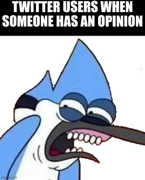 disgusted mordecai | TWITTER USERS WHEN SOMEONE HAS AN OPINION | image tagged in disgusted mordecai | made w/ Imgflip meme maker