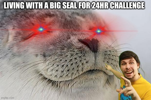 LIVING WITH A BIG SEAL FOR 24HR CHALLENGE | image tagged in seal | made w/ Imgflip meme maker