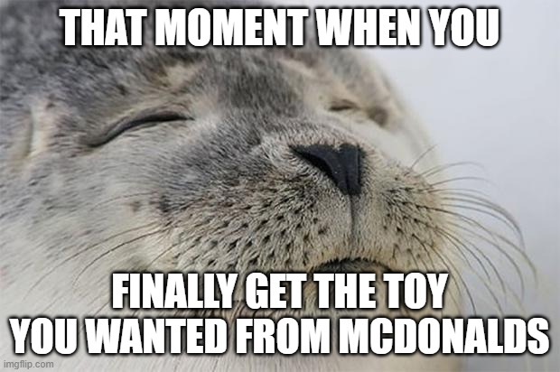 We all remember that moment | THAT MOMENT WHEN YOU; FINALLY GET THE TOY YOU WANTED FROM MCDONALDS | image tagged in memes,satisfied seal,happy meal,mcdonalds | made w/ Imgflip meme maker