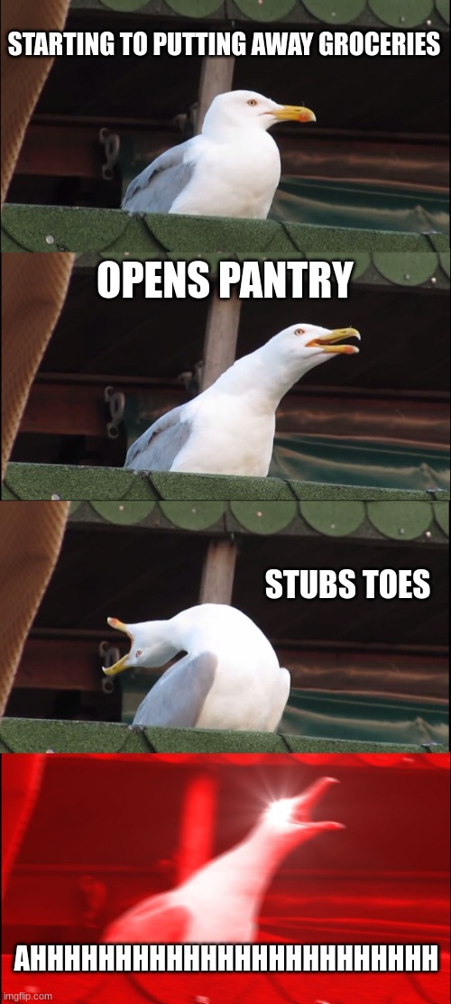 Inhaling Seagull | STARTING TO PUTTING AWAY GROCERIES; OPENS PANTRY; STUBS TOES; AHHHHHHHHHHHHHHHHHHHHHHHH | image tagged in memes,inhaling seagull | made w/ Imgflip meme maker