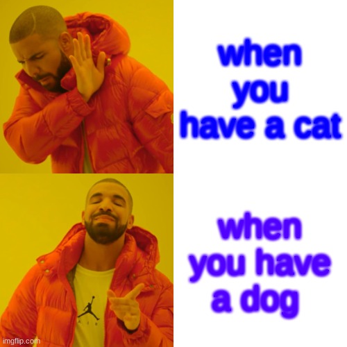 dog lovers | when you have a cat; when you have a dog | image tagged in memes,drake hotline bling | made w/ Imgflip meme maker