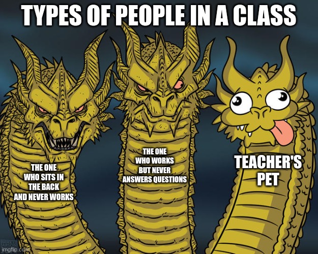 Three-headed Dragon | TYPES OF PEOPLE IN A CLASS; THE ONE WHO WORKS BUT NEVER ANSWERS QUESTIONS; TEACHER'S PET; THE ONE WHO SITS IN THE BACK AND NEVER WORKS | image tagged in three-headed dragon | made w/ Imgflip meme maker