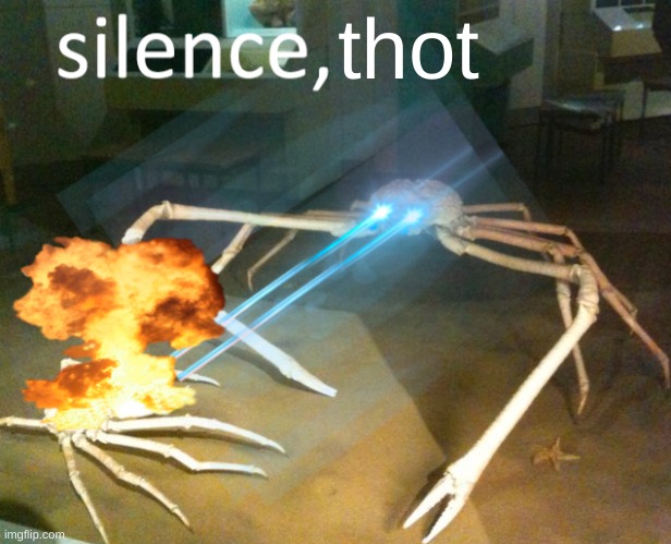 Silence Crab | thot | image tagged in silence crab | made w/ Imgflip meme maker