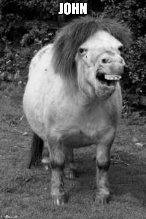 ugly horse | JOHN | image tagged in ugly horse | made w/ Imgflip meme maker