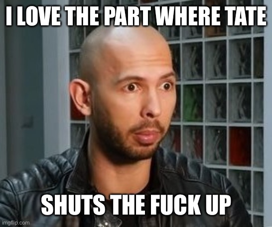 Tate needs to stop talking | I LOVE THE PART WHERE TATE; SHUTS THE FUCK UP | image tagged in andrew tate wojack face | made w/ Imgflip meme maker