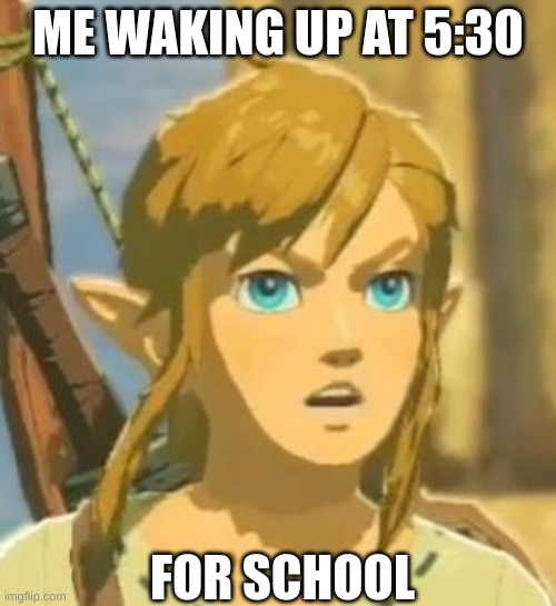 Offended Link | ME WAKING UP AT 5:30; FOR SCHOOL | image tagged in offended link | made w/ Imgflip meme maker