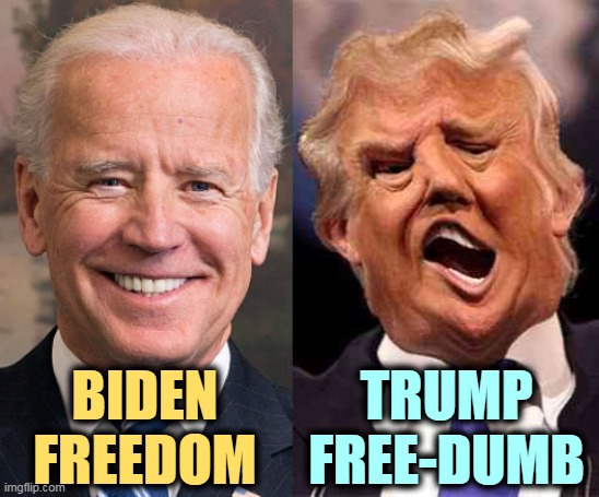 MAGA is not freedom. America has figured that out sure enough. | BIDEN
FREEDOM; TRUMP
FREE-DUMB | image tagged in biden solid stable trump acid drugs,biden,free,democracy,trump,tyranny | made w/ Imgflip meme maker