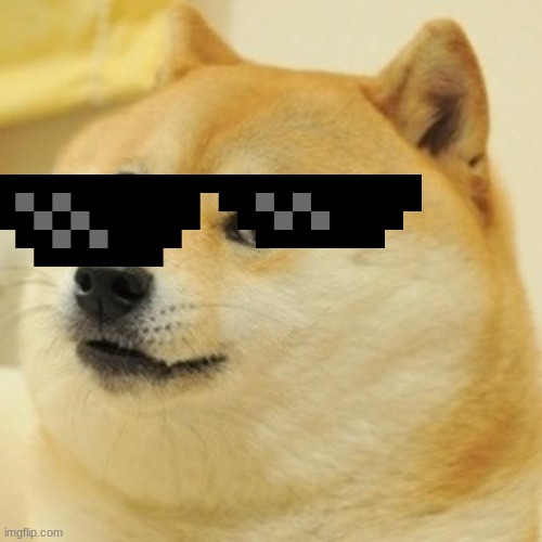 no | image tagged in memes,doge | made w/ Imgflip meme maker