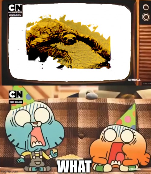 what the hell | WHAT | image tagged in gumball shocked after watching tv | made w/ Imgflip meme maker