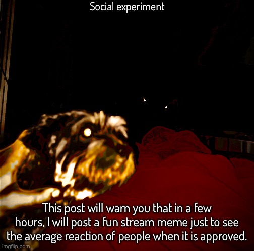 Social experiment; This post will warn you that in a few hours, I will post a fun stream meme just to see the average reaction of people when it is approved. | made w/ Imgflip meme maker