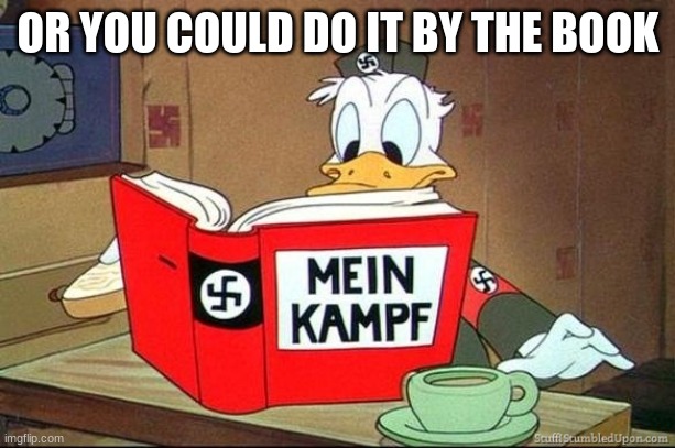 Donald Duck Mein Kampf | OR YOU COULD DO IT BY THE BOOK | image tagged in donald duck mein kampf | made w/ Imgflip meme maker