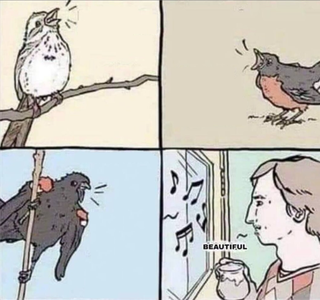 Birds Screaming Blank Meme Template