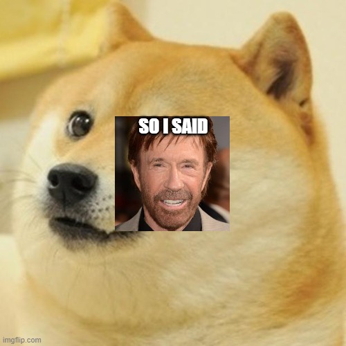 Epic Norris Doge Meme | SO I SAID | image tagged in memes,doge,funny memes,chuck norris,lol so funny | made w/ Imgflip meme maker