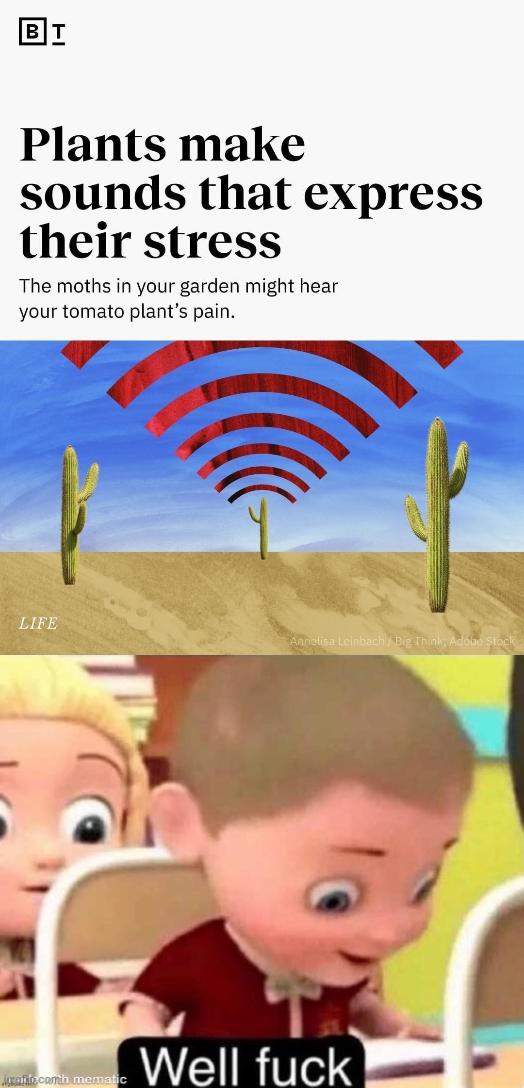image tagged in plants make sounds that express that stress,well f k | made w/ Imgflip meme maker