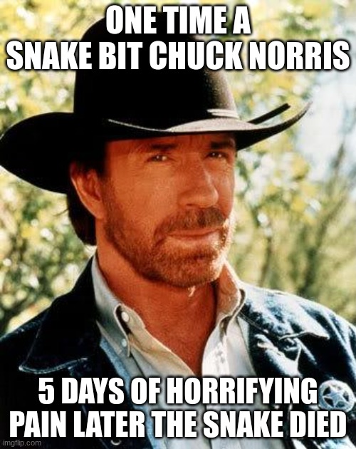 Hi | ONE TIME A SNAKE BIT CHUCK NORRIS; 5 DAYS OF HORRIFYING PAIN LATER THE SNAKE DIED | image tagged in memes,chuck norris | made w/ Imgflip meme maker