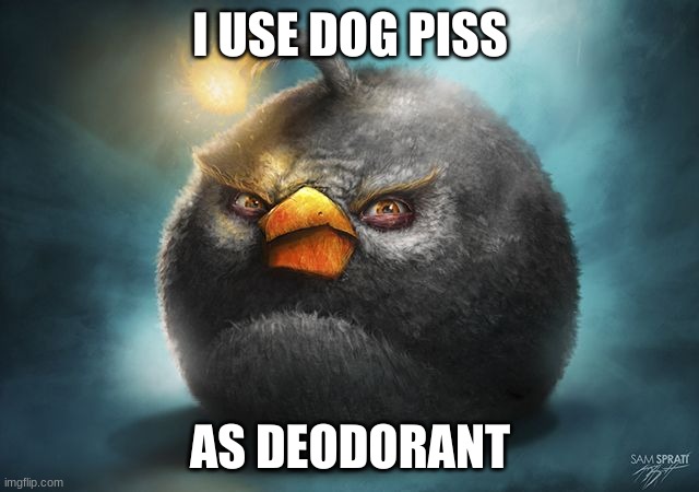 angry birds bomb | I USE DOG PISS; AS DEODORANT | image tagged in angry birds bomb | made w/ Imgflip meme maker