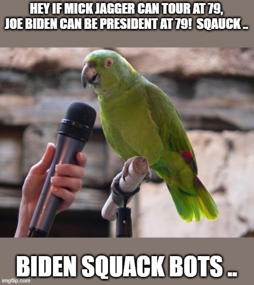 FIRST it was HORSE PASTE now this | HEY IF MICK JAGGER CAN TOUR AT 79, JOE BIDEN CAN BE PRESIDENT AT 79!  SQAUCK .. BIDEN SQUACK BOTS .. | image tagged in parrot,democrats,nwo | made w/ Imgflip meme maker
