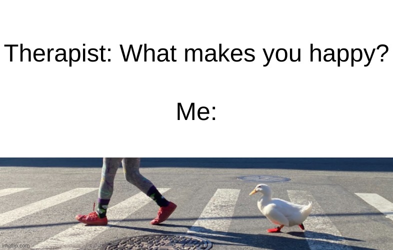 Ducc is good, u see | Therapist: What makes you happy? Me: | image tagged in ducks,memes,funny,wholesome | made w/ Imgflip meme maker