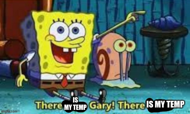 There I Am Gary! | IS MY TEMP IS MY TEMP | image tagged in there i am gary | made w/ Imgflip meme maker