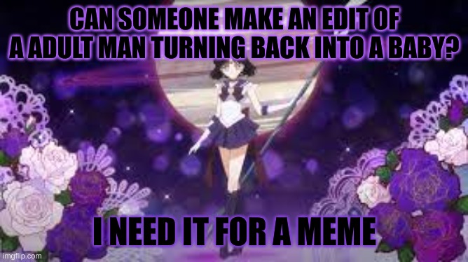 sailor saturn who tf are you | CAN SOMEONE MAKE AN EDIT OF A ADULT MAN TURNING BACK INTO A BABY? I NEED IT FOR A MEME | image tagged in sailor saturn who tf are you | made w/ Imgflip meme maker