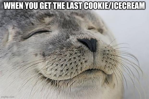 When you happy | WHEN YOU GET THE LAST COOKIE/ICECREAM | image tagged in memes,satisfied seal | made w/ Imgflip meme maker