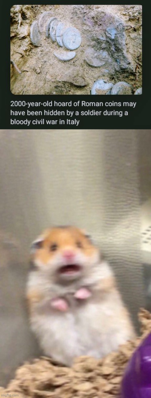 By a soldier during the bloody Civil War | image tagged in surprised hamster,politics,memes,civil war,coins,soldier | made w/ Imgflip meme maker