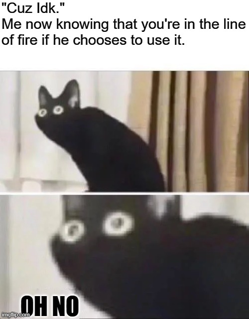 Oh No Black Cat | "Cuz Idk."
Me now knowing that you're in the line of fire if he chooses to use it. OH NO | image tagged in oh no black cat | made w/ Imgflip meme maker