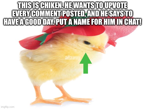 Have a good day! | THIS IS CHIKEN. HE WANTS TO UPVOTE EVERY COMMENT POSTED, AND HE SAYS TO HAVE A GOOD DAY. PUT A NAME FOR HIM IN CHAT! | image tagged in chicken,meme | made w/ Imgflip meme maker
