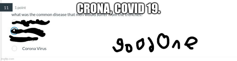 found this one in my history test | CRONA, COVID 19. | image tagged in 2020 sucks,2020 | made w/ Imgflip meme maker