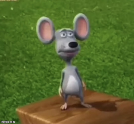 judgemental rat | image tagged in judgemental rat | made w/ Imgflip meme maker