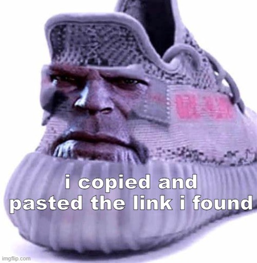 i copied and pasted the link i found | made w/ Imgflip meme maker