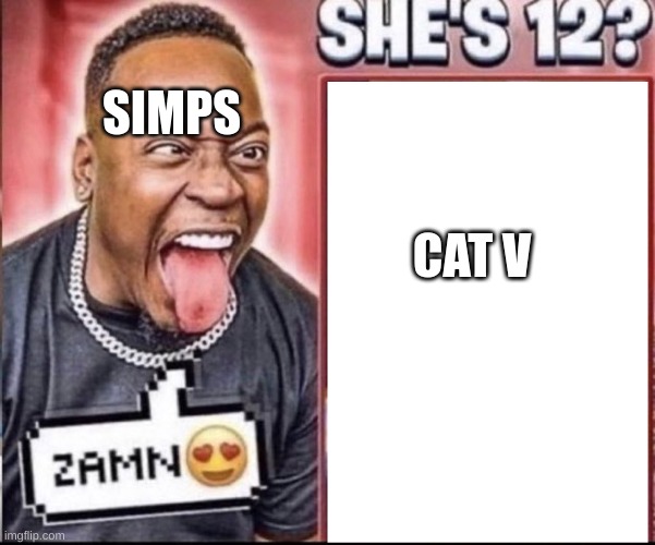Zamn | CAT V SIMPS | image tagged in zamn | made w/ Imgflip meme maker